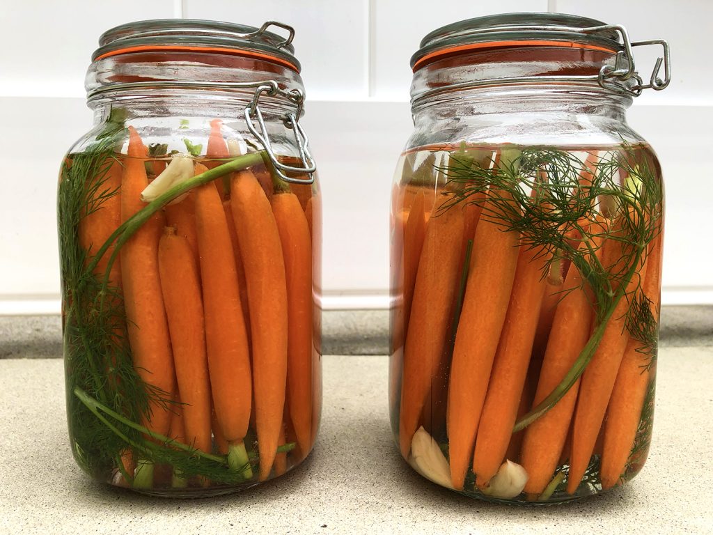 fermented carrots